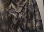 IMG_20250127_132749